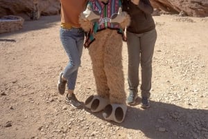 Cafayate: Full-day tour of wineries and wine tasting