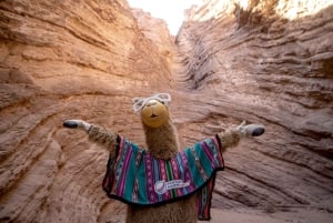 Cafayate: Full-day tour of wineries and wine tasting