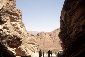 Cafayate: Full-day tour of wineries and wine tasting