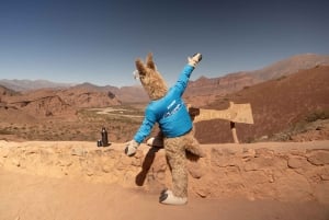 Cafayate: Full-day tour of wineries and wine tasting