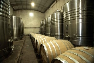 Cafayate: Full-day tour of wineries and wine tasting