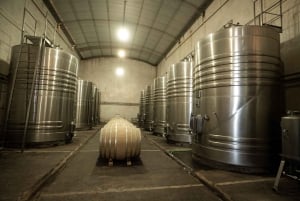 Cafayate: Full-day tour of wineries and wine tasting