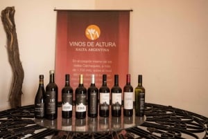 Cafayate: Full-day tour of wineries and wine tasting
