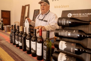 Cafayate: Full-day tour of wineries and wine tasting