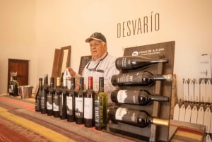 Cafayate: Full-day tour of wineries and wine tasting