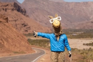 Cafayate: Full-day tour of wineries and wine tasting