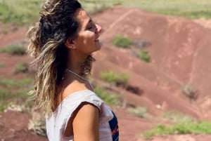 Cafayate: Heldagstur til vingårde og vinprøve