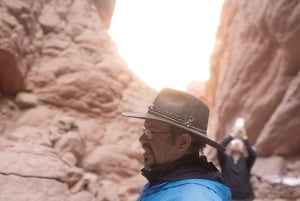 Cafayate: Heldagstur til vingårde og vinprøve