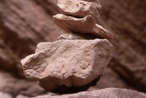 Cafayate: Heldagstur til vingårde og vinprøve