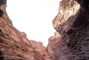 Cafayate: Heldagstur til vingårde og vinprøve