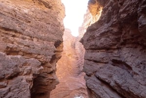 Cafayate: Heldagstur til vingårde og vinprøve