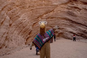 Cafayate: Heldagstur til vingårde og vinprøve