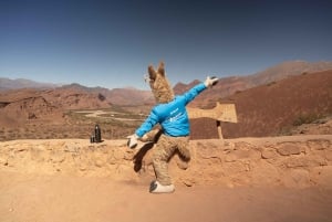 Cafayate: Heldagstur til vingårde og vinprøve