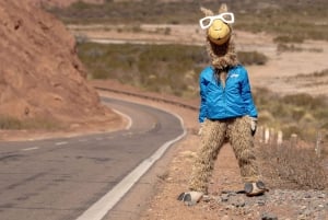 Cafayate: Heldagstur til vingårde og vinprøve