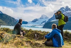 Calafate 4-dniowa wycieczka: Lodowce, nawigacja premium i safari