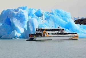 Calafate 4-Day Tour: Glaciers, Premium Navigation & Safari