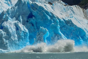 4-dagers tur til Calafate: Isbreer, premiumnavigasjon og safari