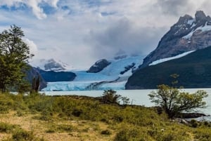 Calafate 4-Tages-Tour: Gletscher, Premium Navigation & Safari