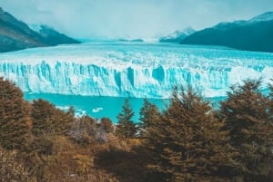 Excursión de 4 días a Calafate: Glaciares, Navegación Premium y Safari