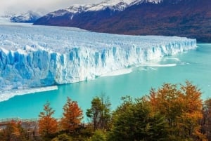 Calafate 4-Day Tour: Glaciers, Premium Navigation & Safari