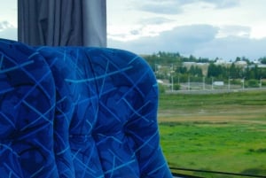 Calafate: Lufthavnstransport