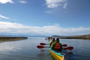 Calafate: Kayaking on Lake Argentino with transfers