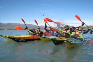 Calafate: Kayaking on Lake Argentino with transfers