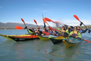 Calafate: Kajakarstwo na jeziorze Argentino z transferem