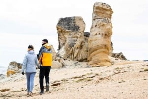 Panoramische tour door Calafate: De beste balkons van Calafate 4x4