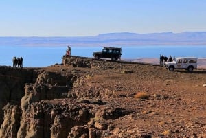 Visita panorámica de Calafate: Los mejores balcones de Calafate 4x4