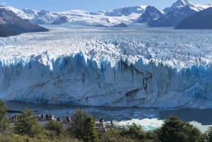 Calafate: Båttur på Perito Moreno-glaciären
