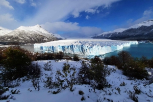 Calafate: Perito Moreno gletsjer