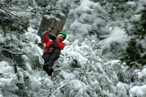 Halvdagstur i baldakin i Bariloche