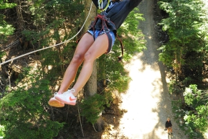 Excursão de meio dia ao Canopy em Bariloche