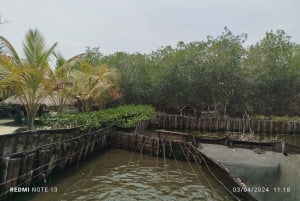 Cartagena: ISLA DE LOS PESCADORES EN LOS MANGROVES en canoa