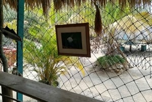 Cartagena: ISLA DE LOS PESCADORES EN LOS MANGROVES en canoa