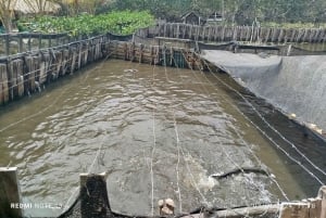 Cartagena: Ilha dos Pescadores nos Mangues de canoa