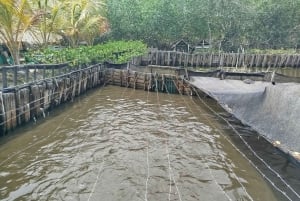 Cartagena: L'ISOLA DEI PESCATORI NELLE MANGROVIE in canoa