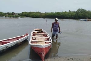 Cartagena: FISHERMEN'S ISLAND IN THE MANGROVES by canoe