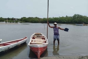 Cartagena: FISHERMEN'S ISLAND IN THE MANGROVES med kano