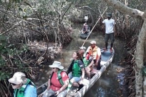 Cartagena: FISHERMEN'S ISLAND IN THE MANGROVES by canoe