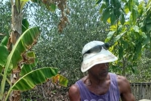 Cartagena: FISHERMEN'S ISLAND IN THE MANGROVES med kano