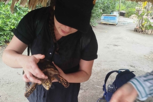Cartagena: FISHERMEN'S ISLAND IN THE MANGROVES med kano