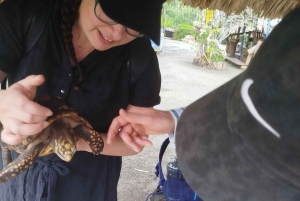 Cartagena: FISHERMEN'S ISLAND IN THE MANGROVES med kano