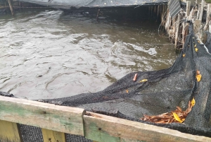 Cartagena: FISHERMEN'S ISLAND IN THE MANGROVES med kano