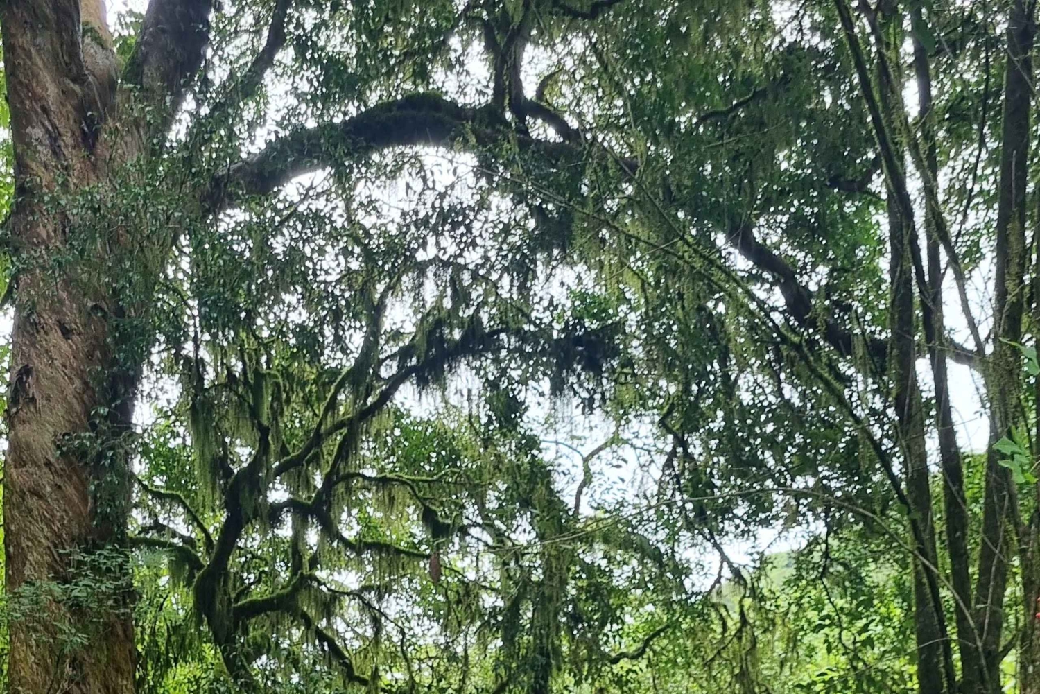 Cascada Escondida - San Lorenzo: trekking og natur i Salta