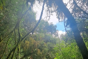 Cascada Escondida - San Lorenzo: trekking og natur i Salta