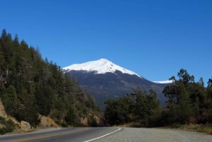 Vanuit Bariloche: Cerro Tronador in Pategonië