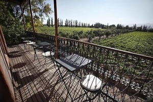 Charms of Mendoza Private Tour 3 Wineries with Paired Lunch