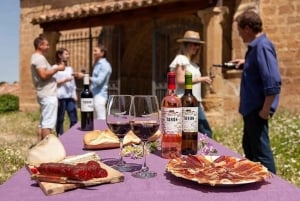 Charms of Mendoza Private Tour 3 Wineries with Paired Lunch (en anglais)